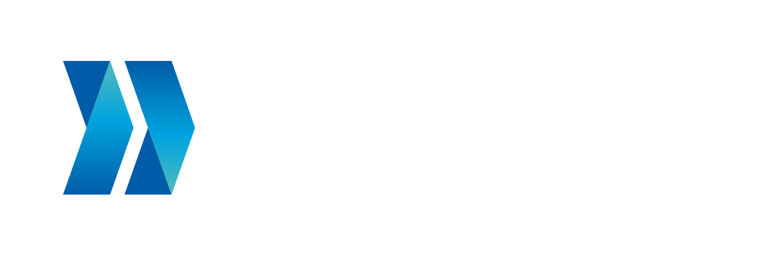 FMSI Logo