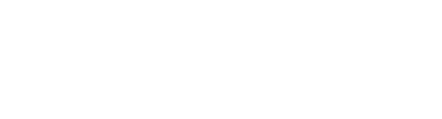 Florida Society of Association Executives Logo