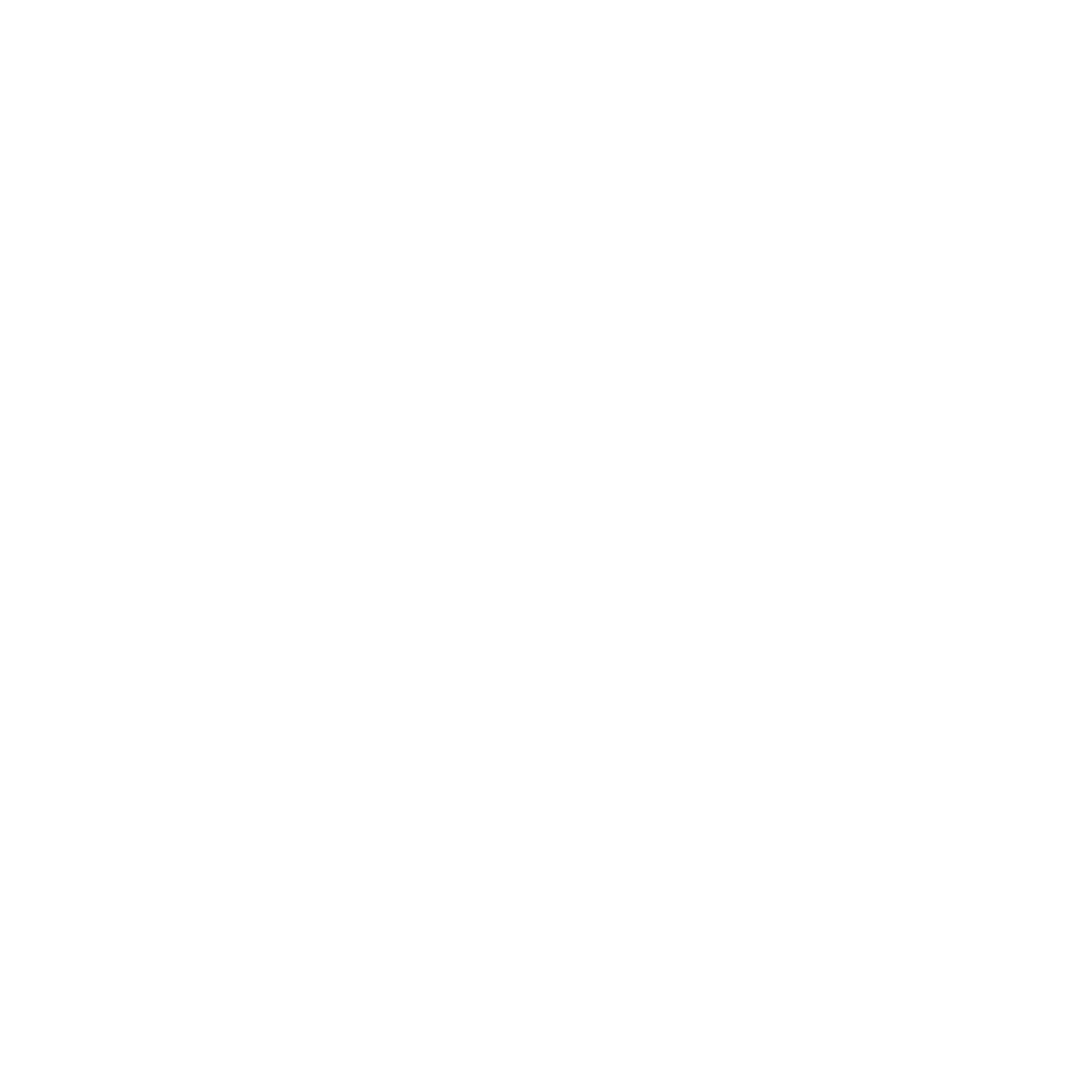 INTOO Logo