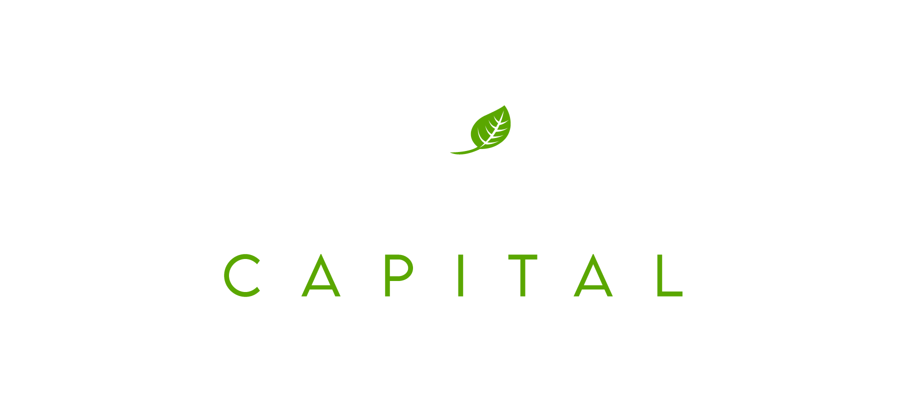 Meritus Capital Logo