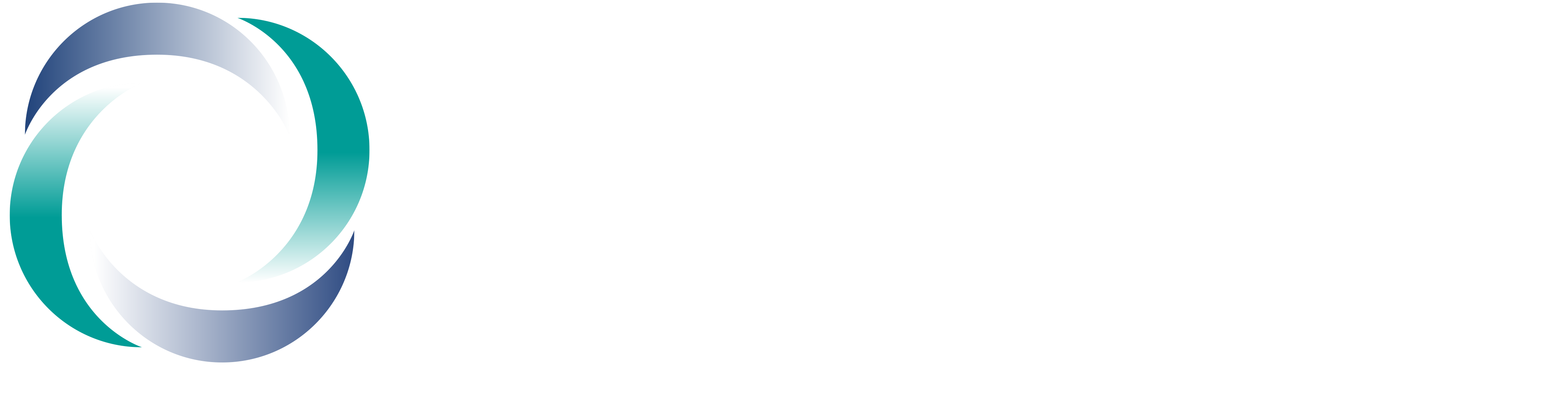 National Association of Benefits and Insurance Professionals Logo