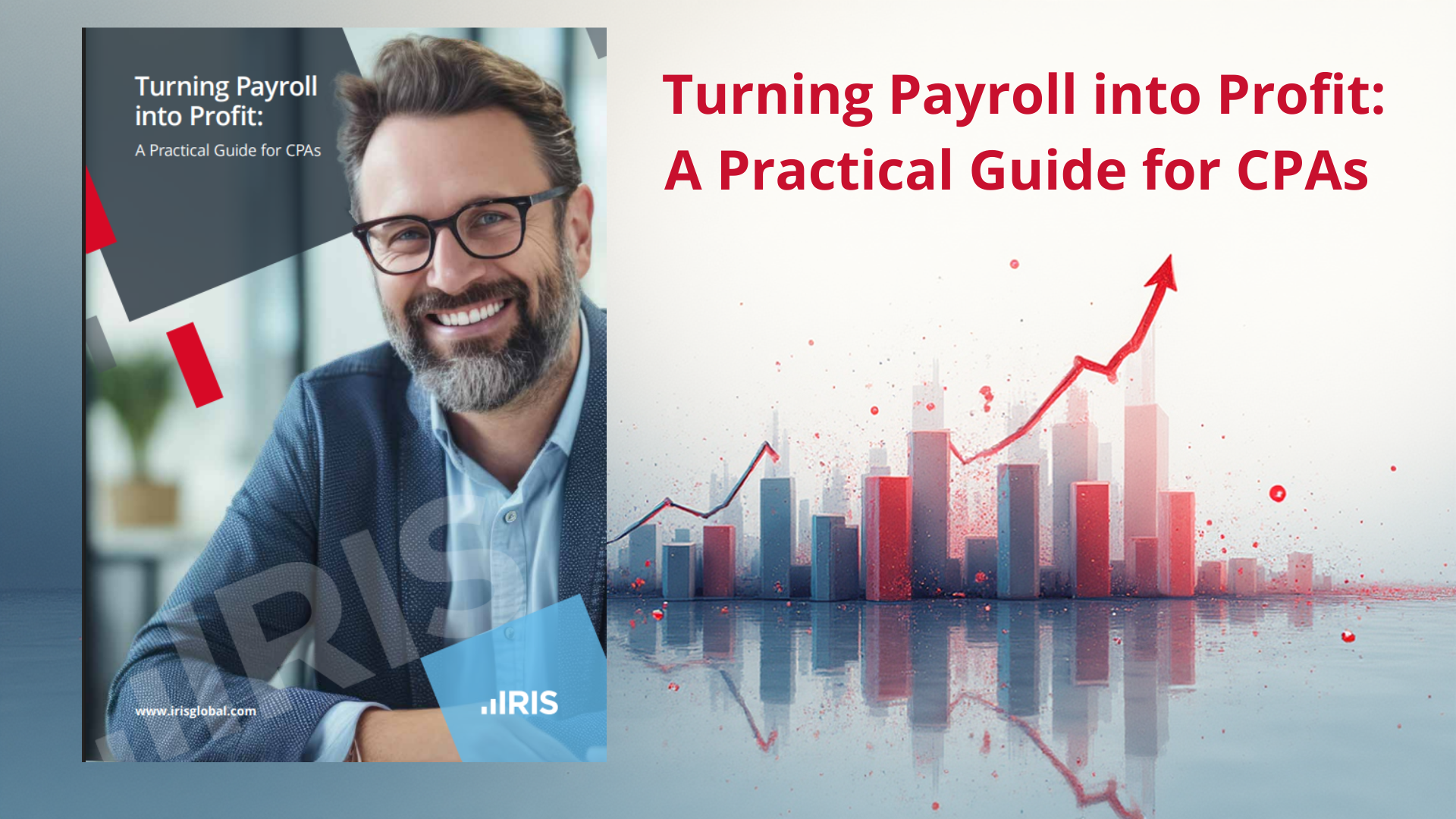 A Practical Guide for Accounting Firms for Turning Payroll Services into Major Profit