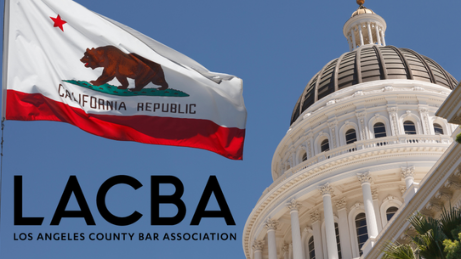 ABA Model Rules: Handle With Care