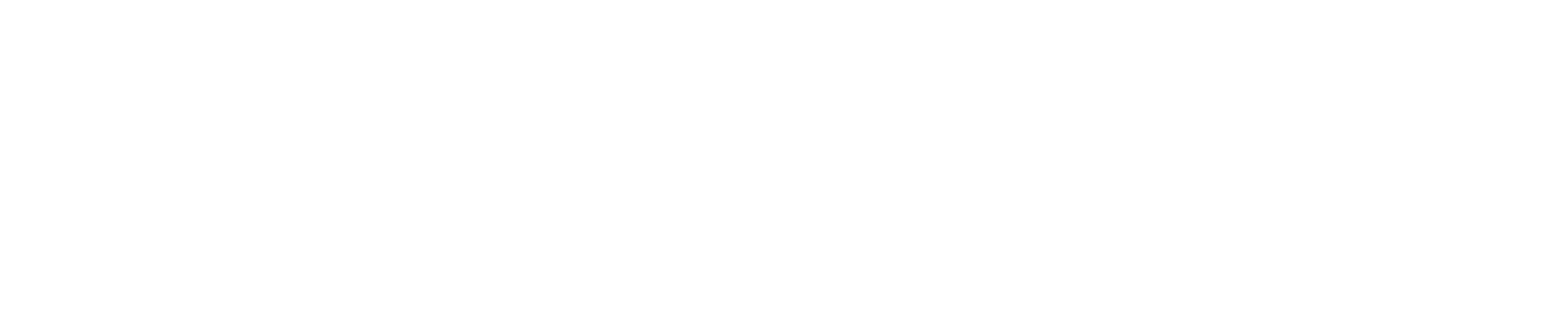 WageProof Logo